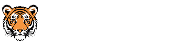 Bandhavgarh Jungle Safari