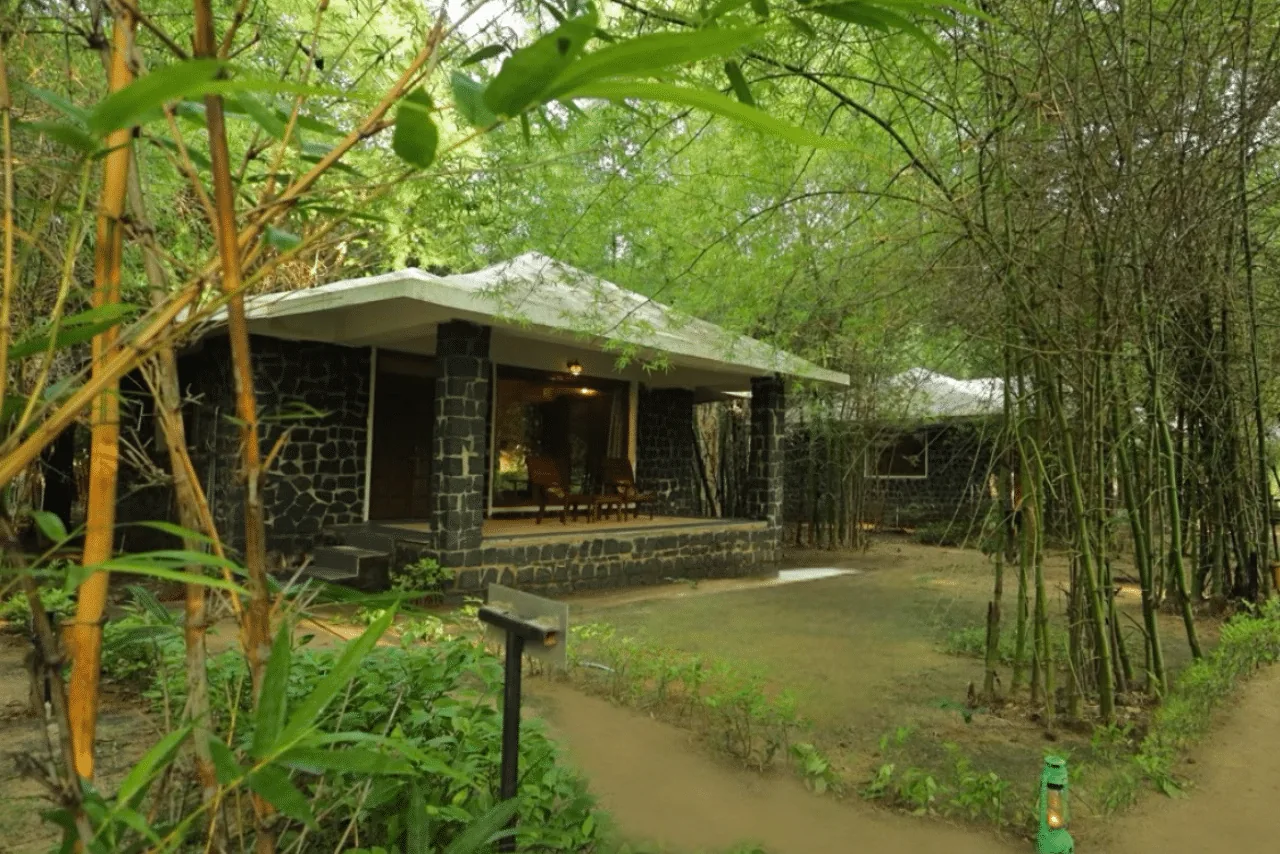 Tiger Trail Resort Bandhavgarh, luxury stay near Bandhavgarh National Park